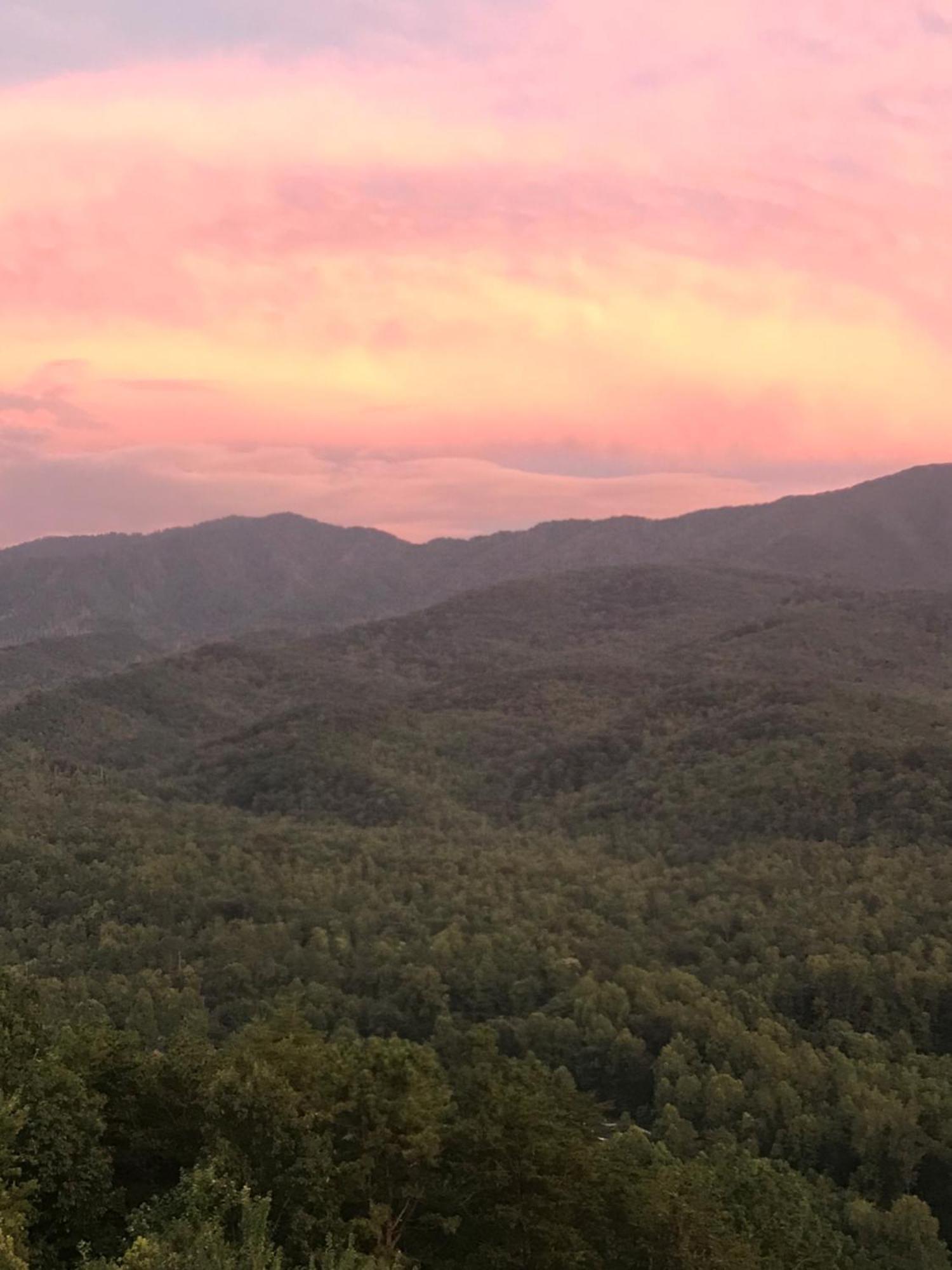 Stairway To Heaven, Breathtaking Mtn Views Indoor Pool & Hot Tub Daire Gatlinburg Dış mekan fotoğraf